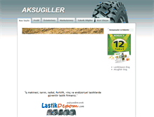 Tablet Screenshot of aksugiller.com